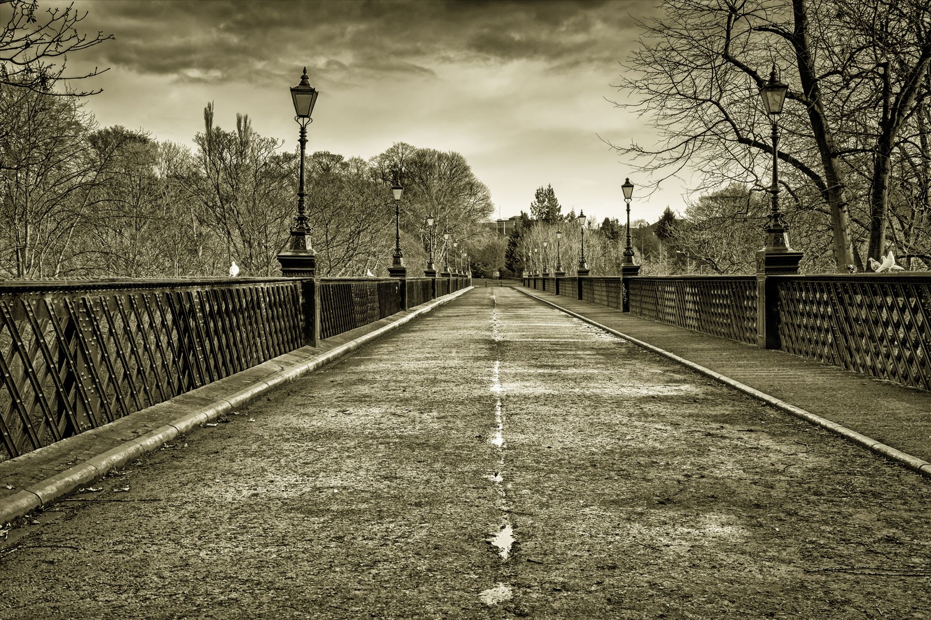 Armstrong Bridge, Jesmond Dene, NewcastleBuilt in 1878 to overcome mining subsidence, it is cross braced with iron ties. in 1963 pedestrianised, and is now the site of a Sunday market.