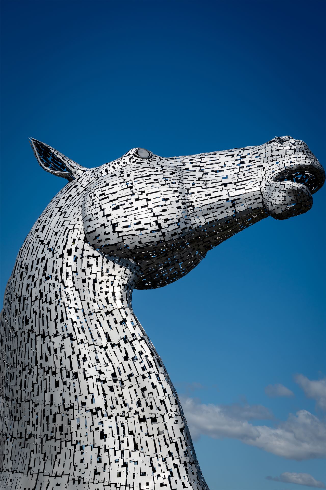 \'The Kelpies\', Falkirk, Scotland -  by Graham Dobson Photography