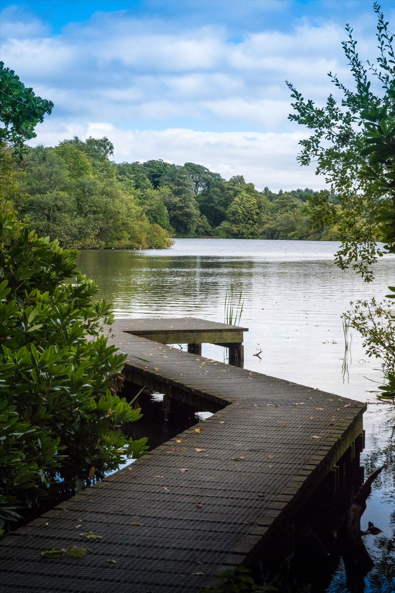 Bolam Lake, Northumberland