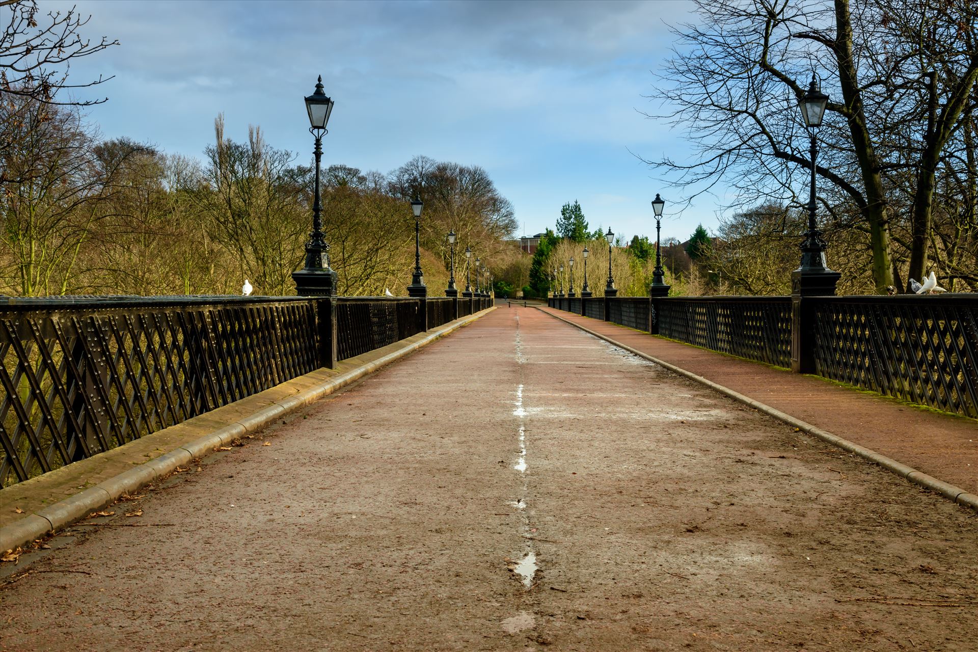 Armstrong Bridge, Jesmond Dene, Newcastle - Built in 1878 to overcome mining subsidence, it is cross braced with iron ties. in 1963 pedestrianised, and is now the site of a Sunday market. by Graham Dobson Photography