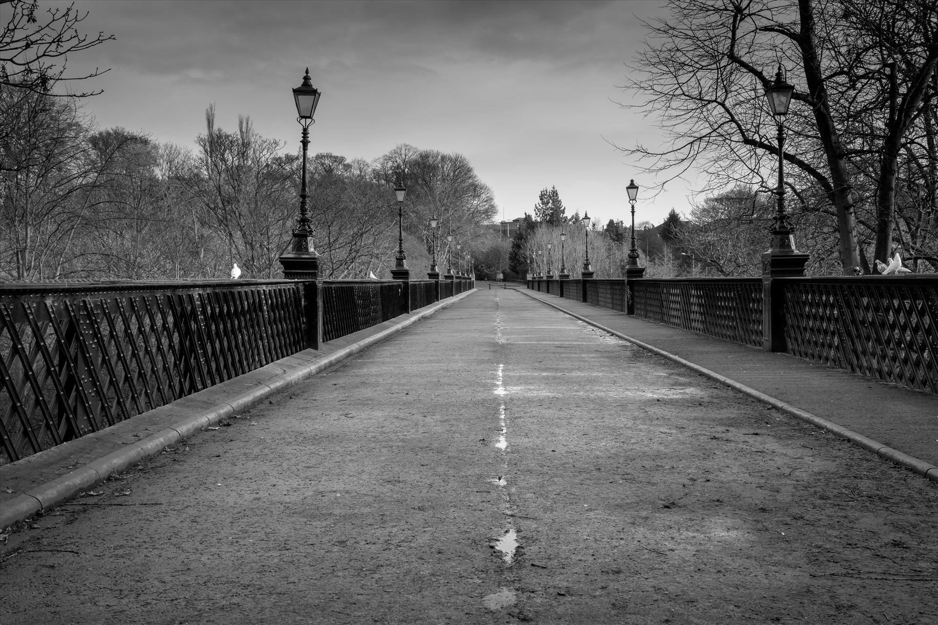 Armstrong Bridge, Jesmond Dene, NewcastleBuilt in 1878 to overcome mining subsidence, it is cross braced with iron ties. in 1963 pedestrianised, and is now the site of a Sunday market.