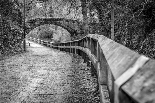 Jesmond Dene, Newcastle - 